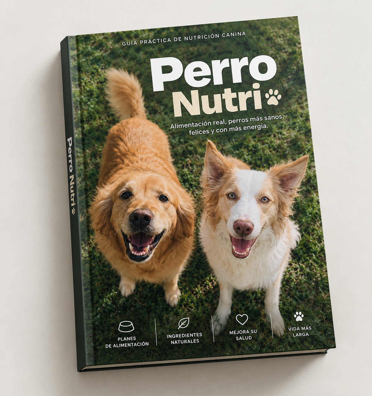 Perro Nutri | Recetas Naturales para Perros